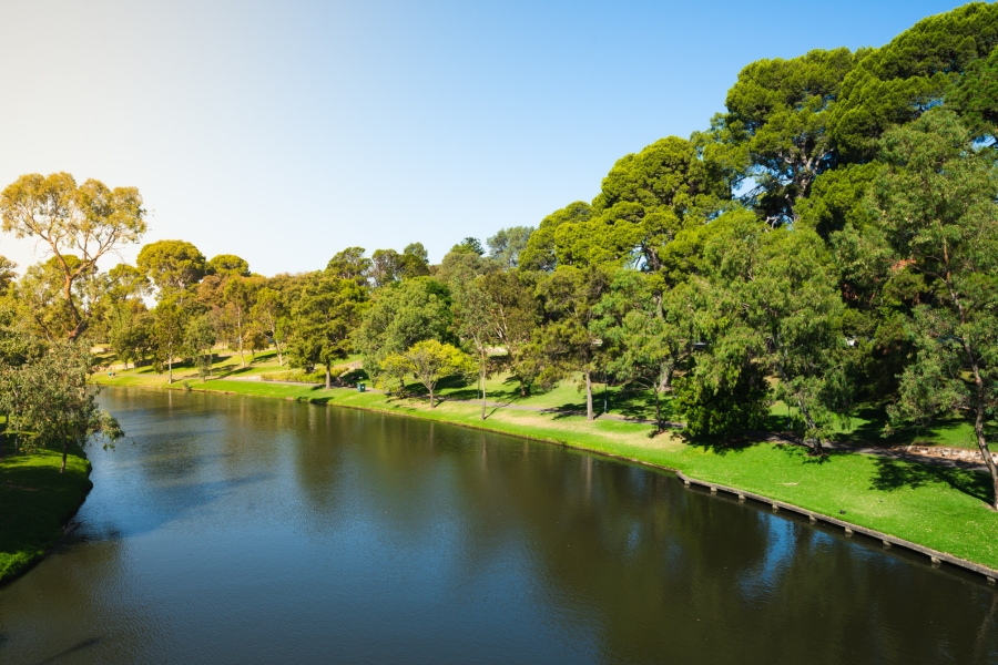 Ruta por sur de Australia, aventura por Adelaida y sus alrededores.