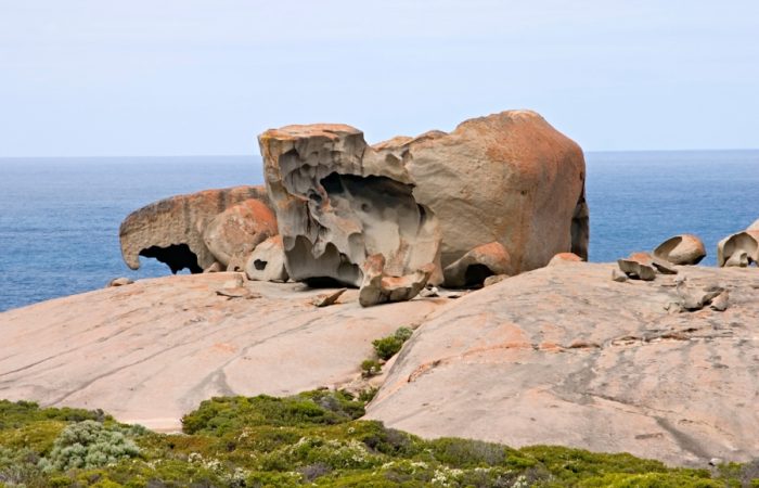 aventura por Adelaida y sus alrededores.