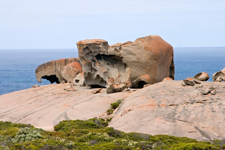 aventura por Adelaida y sus alrededores.